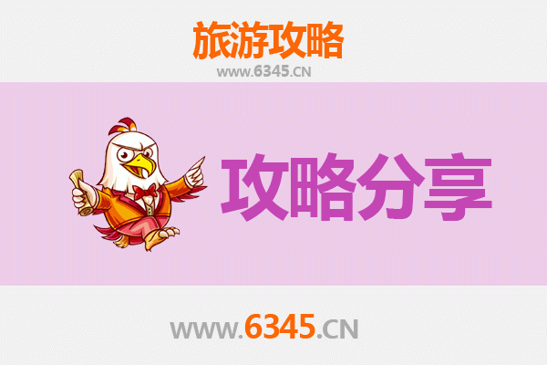 定安定城镇旅游攻略：跟团与自由行深度对比